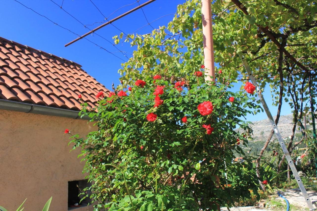 Apartments With A Parking Space Slano, Dubrovnik - 8540 מראה חיצוני תמונה