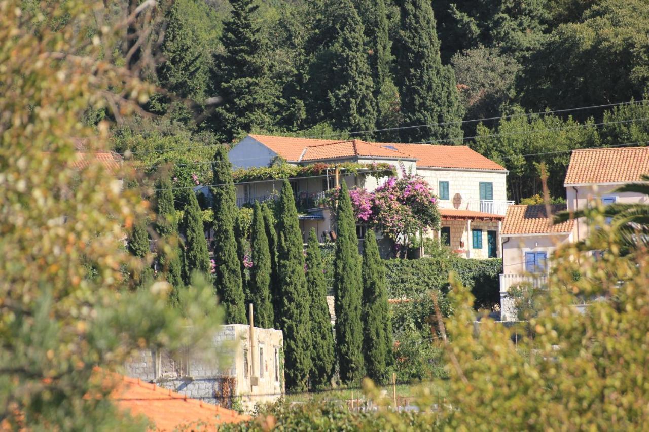 Apartments With A Parking Space Slano, Dubrovnik - 8540 מראה חיצוני תמונה