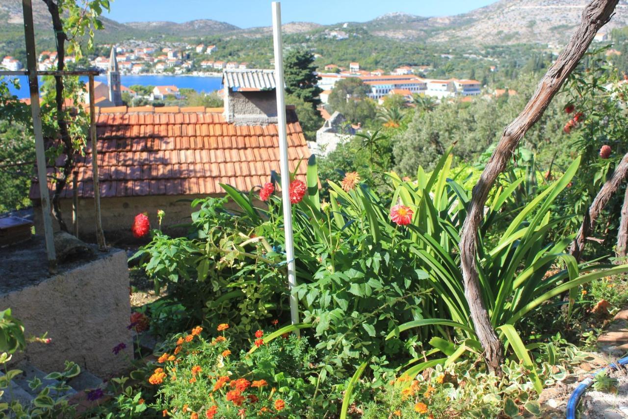 Apartments With A Parking Space Slano, Dubrovnik - 8540 מראה חיצוני תמונה