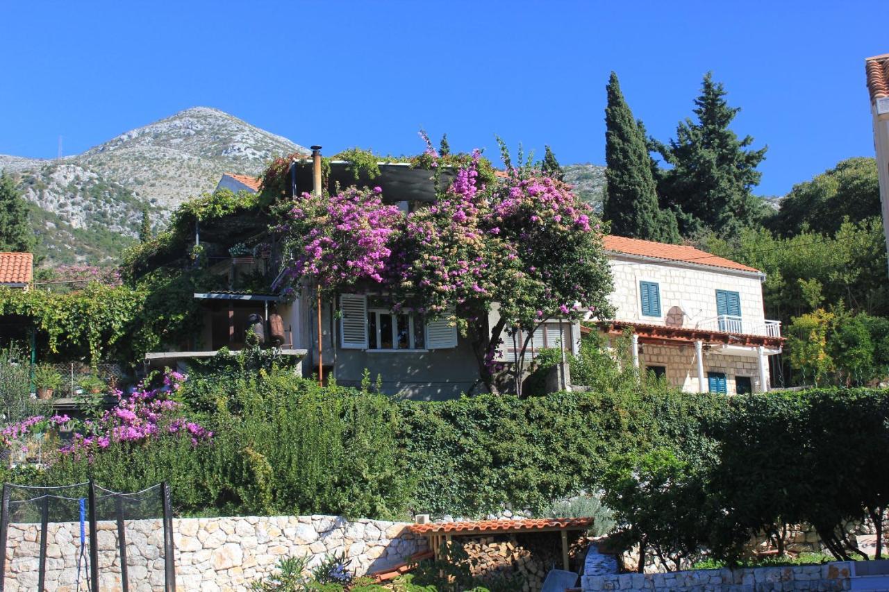 Apartments With A Parking Space Slano, Dubrovnik - 8540 מראה חיצוני תמונה